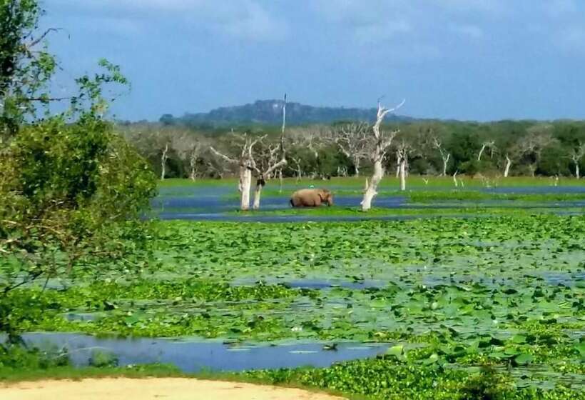 Пансион Amawin Resort