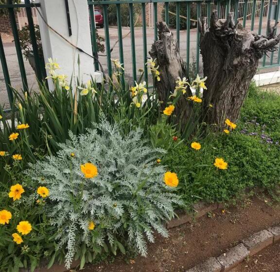 פנסיון Colesview Guest House