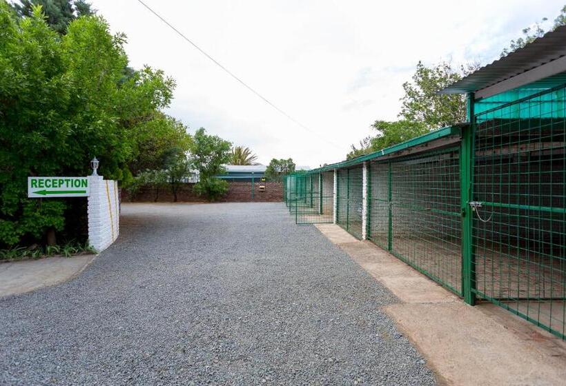 פנסיון Colesview Guest House