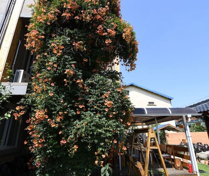 بنسيون Dasomchae Hanok Stay