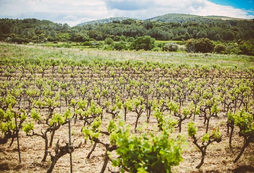 بنسيون Domaine De Salente