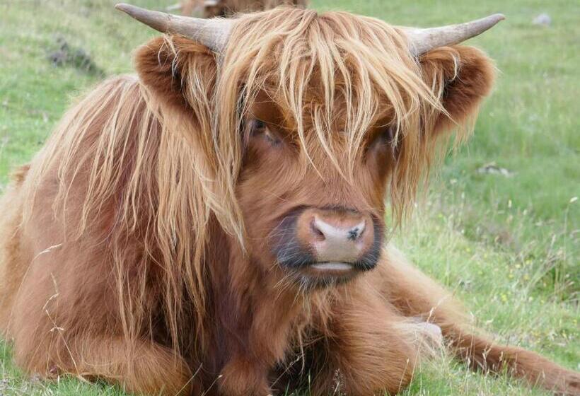 Пансион Greenlawns