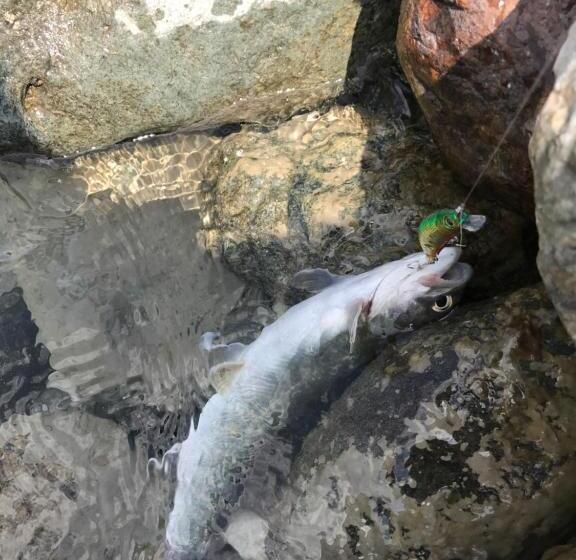 펜션 Nori's Sharehouse Hakuba