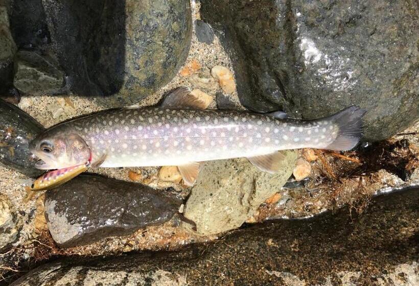 펜션 Nori's Sharehouse Hakuba