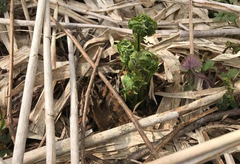 펜션 Nori's Sharehouse Hakuba