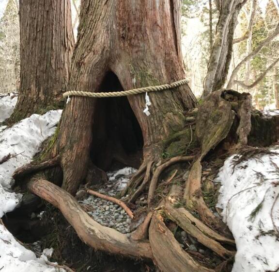 펜션 Nori's Sharehouse Hakuba