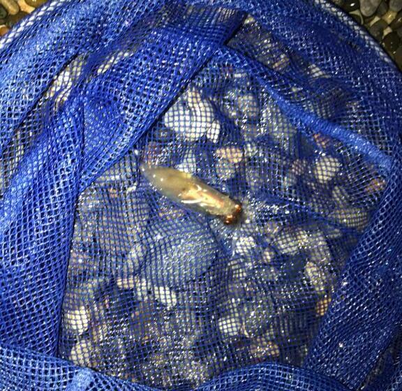 펜션 Nori's Sharehouse Hakuba