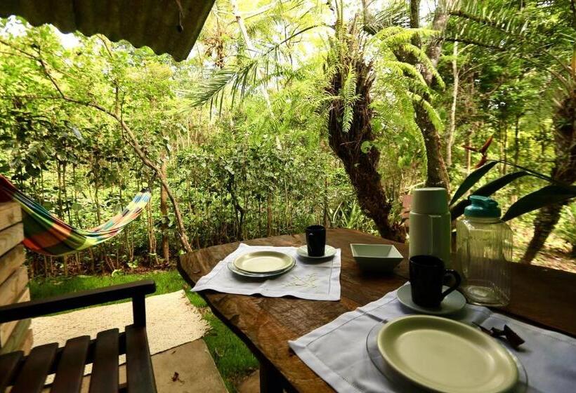 펜션 Recanto Dos Pássaros Hospedaria Zen E Banho De Floresta Arua