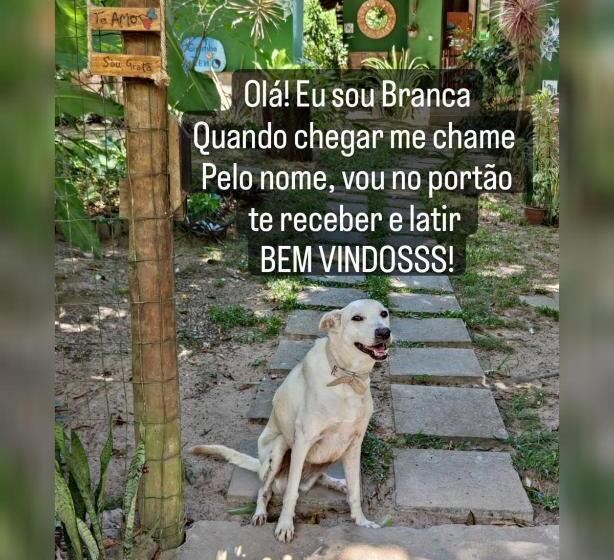 펜션 Recanto Dos Pássaros Hospedaria Zen E Banho De Floresta Arua