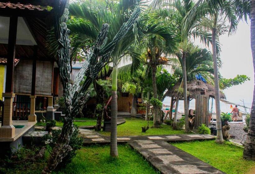 פנסיון Teman Teman Bungalows1