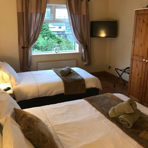 بنسيون The Ring Lyne