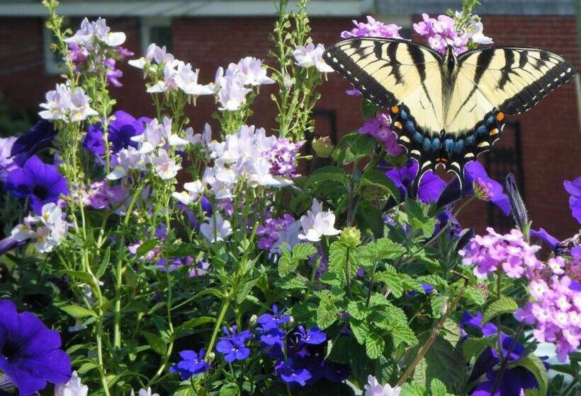 민박 1 Murray House