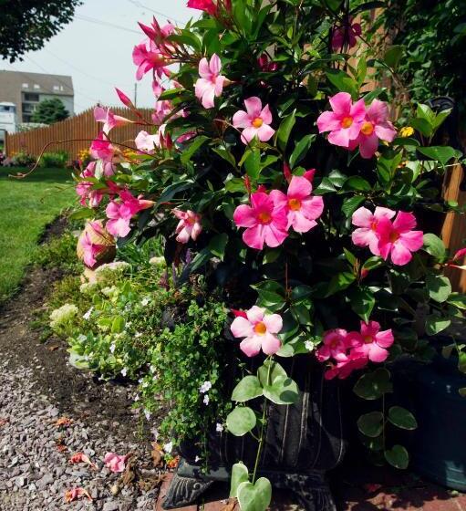 민박 1 Murray House