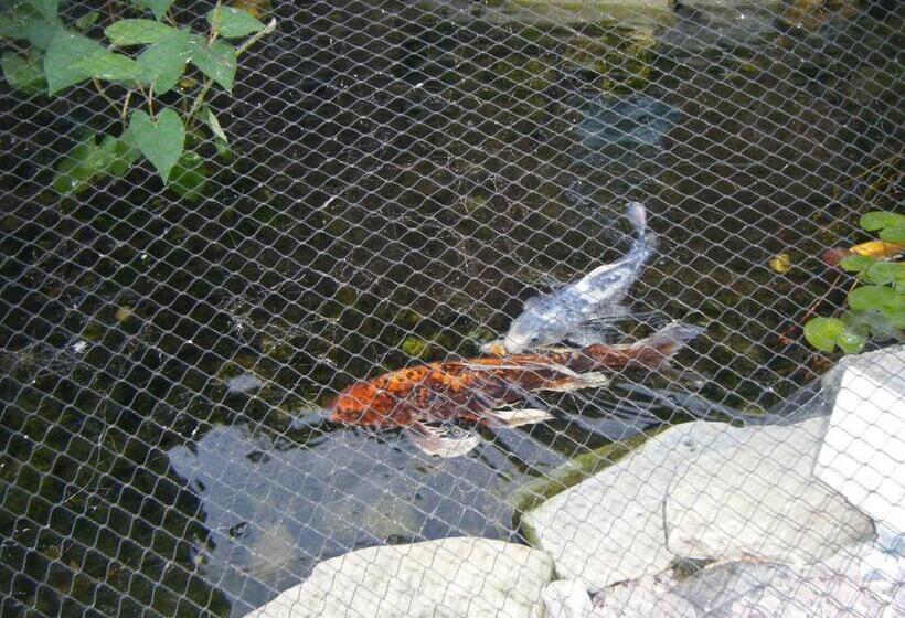 민박 1 Murray House