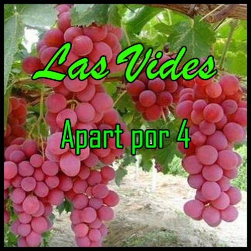 Parras Y Racimos Apart