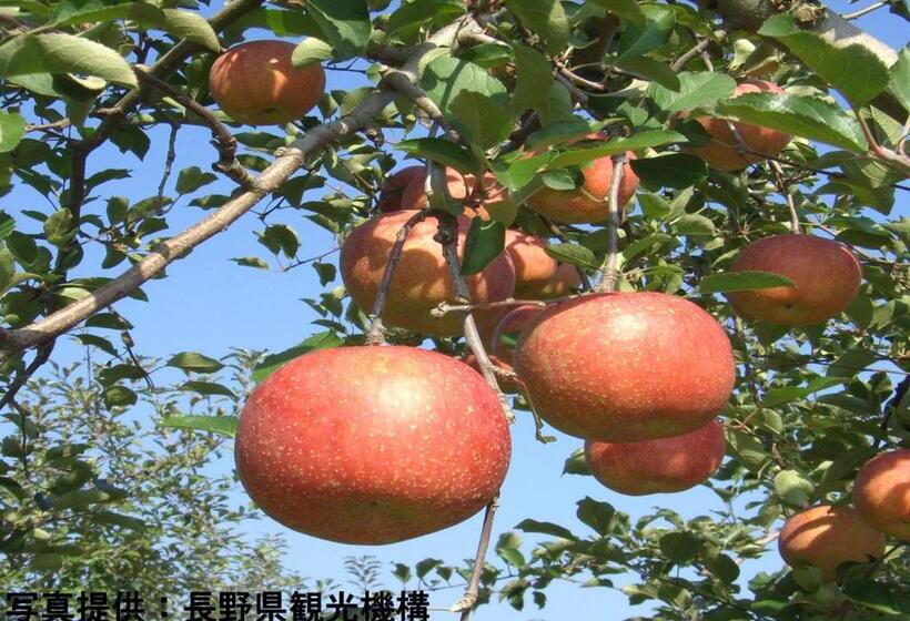 פנסיון Shioriya