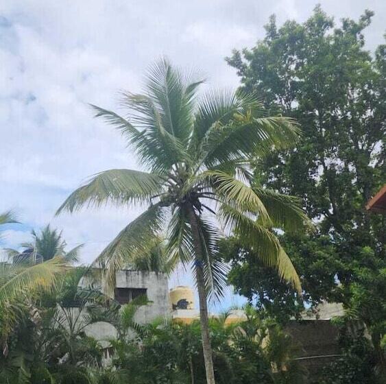 膳宿费 Boca Del Paraiso