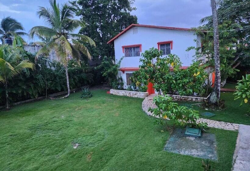 膳宿费 Boca Del Paraiso