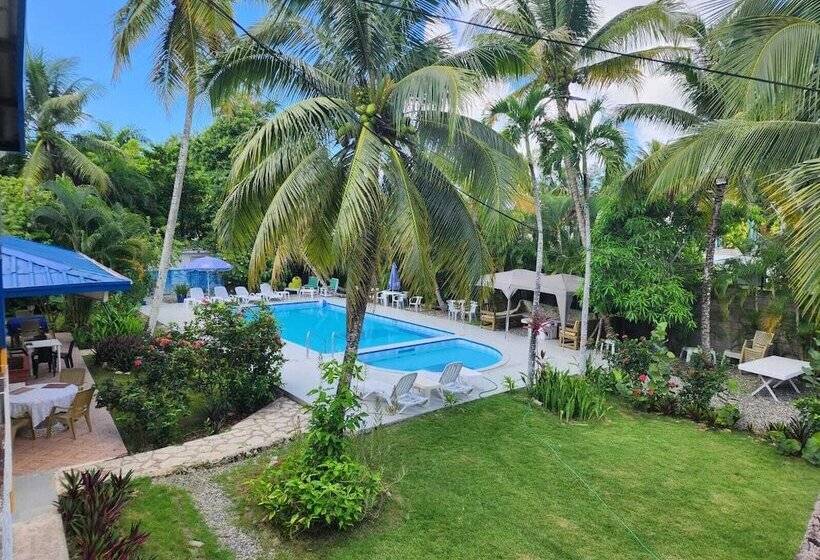 膳宿费 Boca Del Paraiso