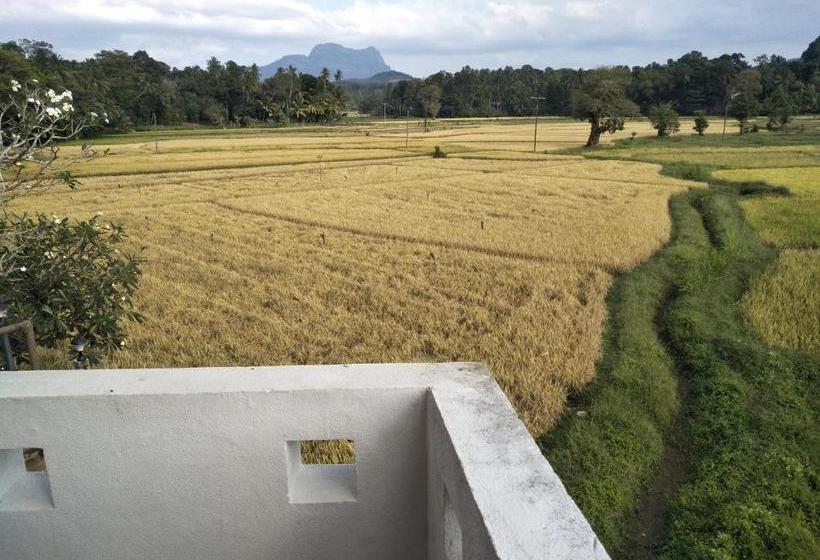 بنسيون Eden Lodge