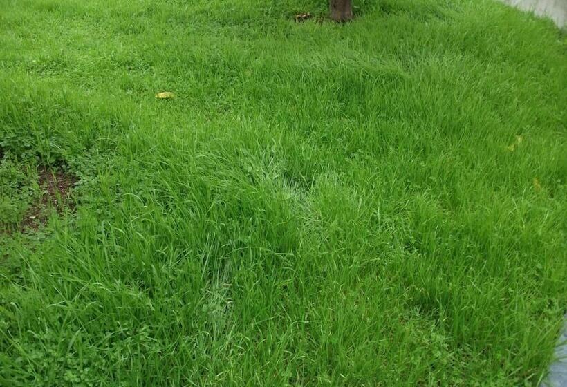 مبيت وإفطار Casa Dos Bordados