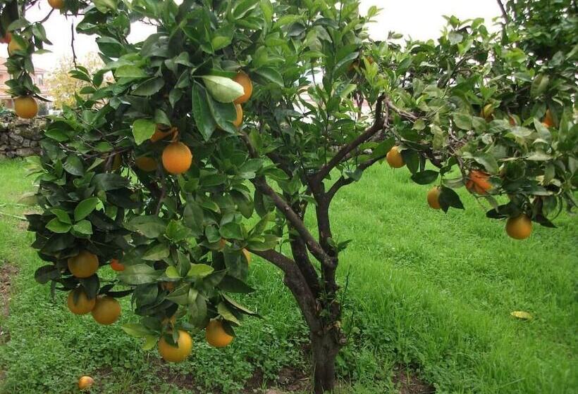 צימר Casa Dos Bordados