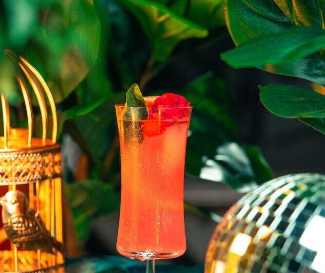 Bhagyaraj Palace   Best Hotel In Kanpur