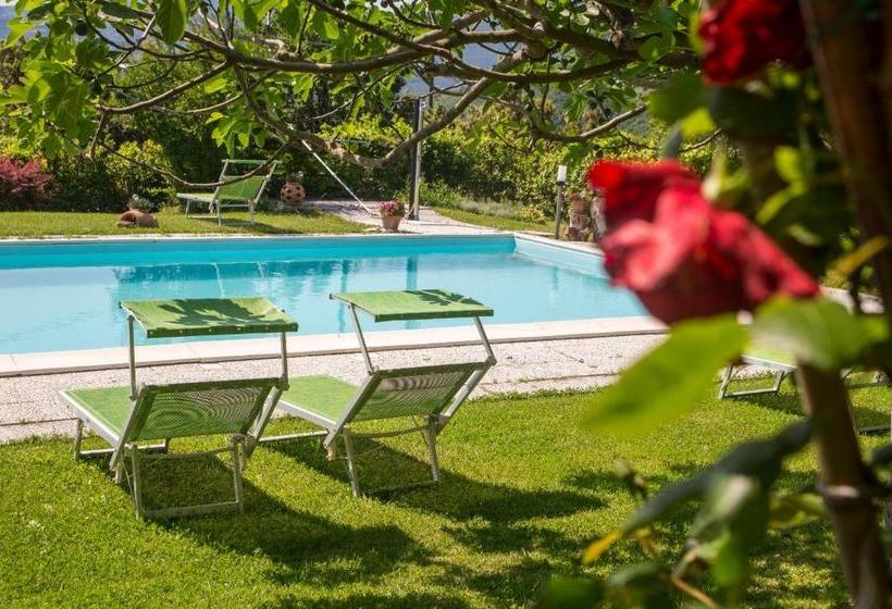 فندق Agriturismo B&b Bio La Tana Del Lele