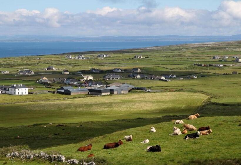 فندق Fiddle + Bow