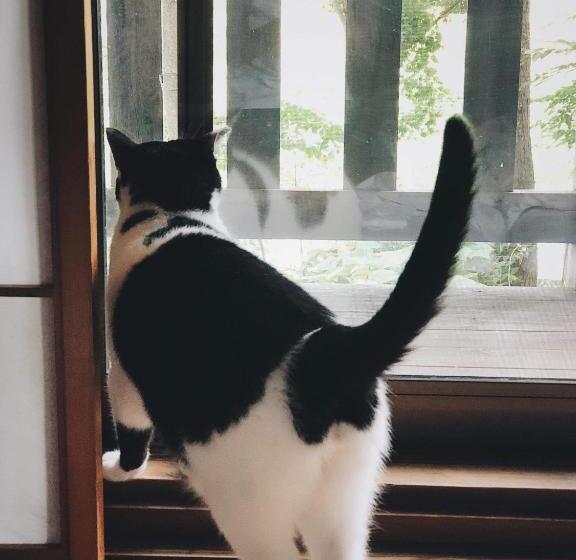 فندق Noka Minshuku Sanzen