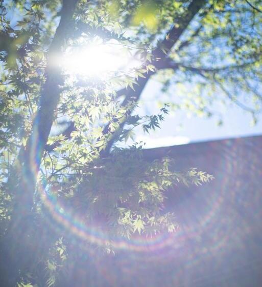 فندق Noka Minshuku Sanzen