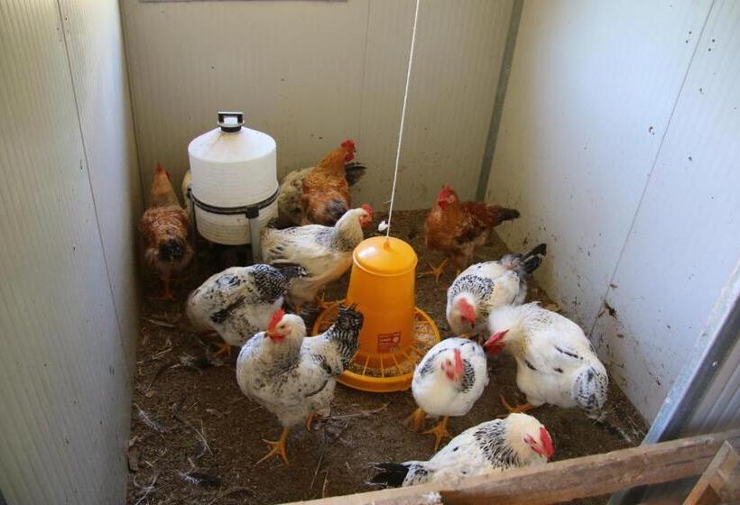 هتل Podere Il Sorriso Degli Angeli