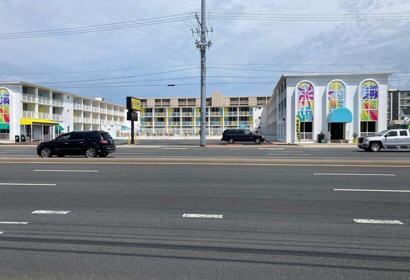 汽车旅馆  Kokomo Suites