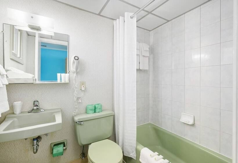 汽车旅馆  Kokomo Suites