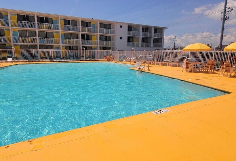 汽车旅馆  Kokomo Suites