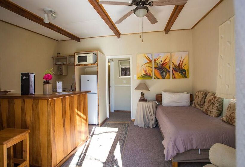 פנסיון Damas Guest Farm