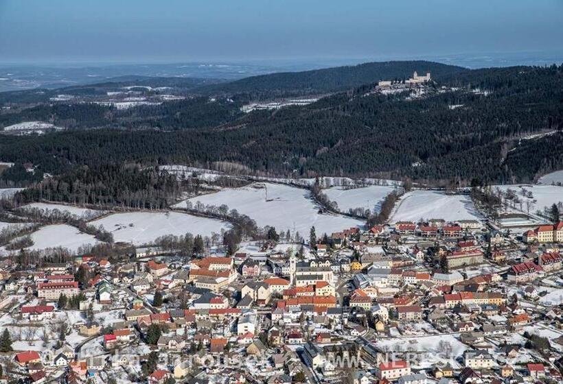 پانسیون Penzion U Lebedů