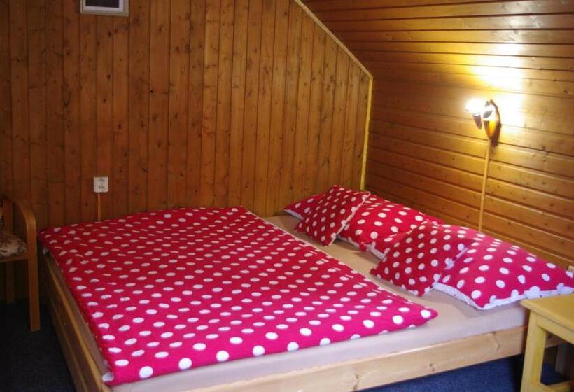 펜션 Penzion U Lebedů