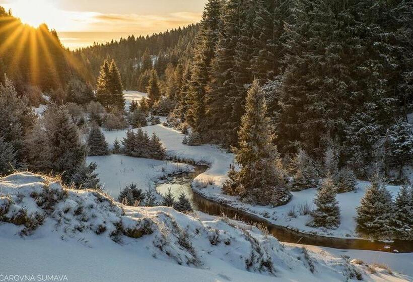 펜션 Penzion U Lebedů