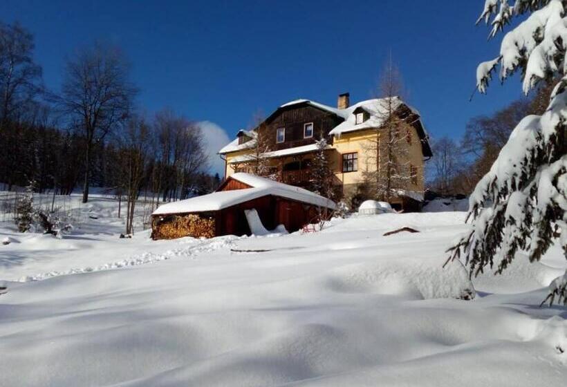 펜션 Penzion U Lebedů