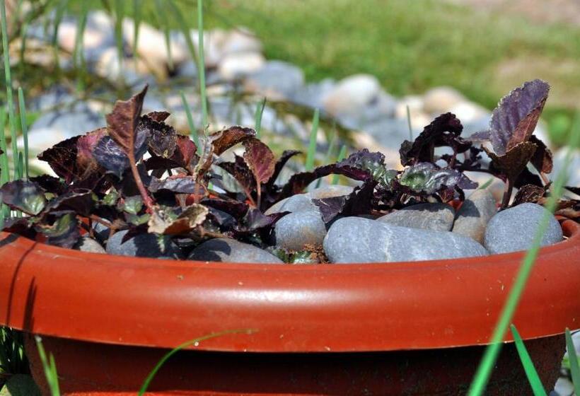 Riverside Resort Hotel Kabale