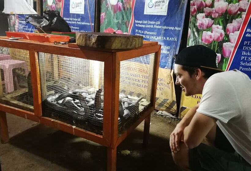 Sleepy Raccoon Hostel