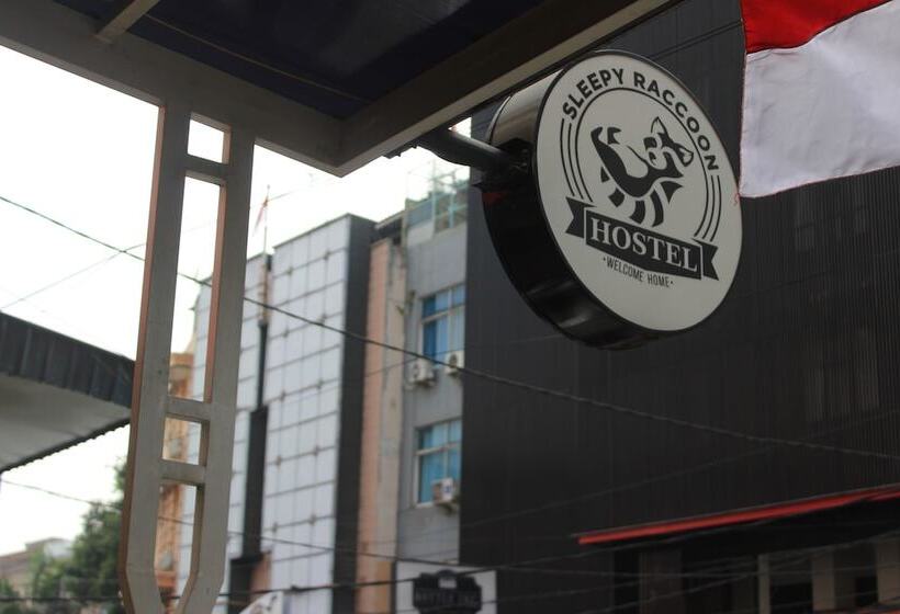 Sleepy Raccoon Hostel