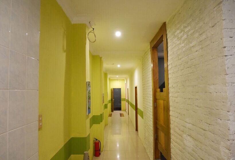 Sleepy Raccoon Hostel