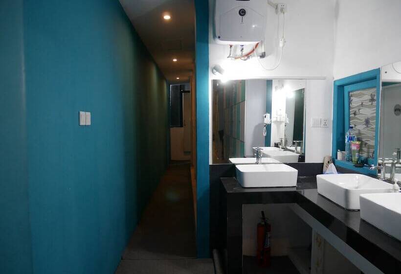 Sleepy Raccoon Hostel