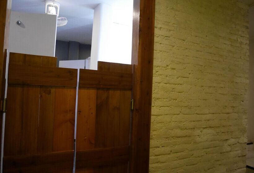 Sleepy Raccoon Hostel