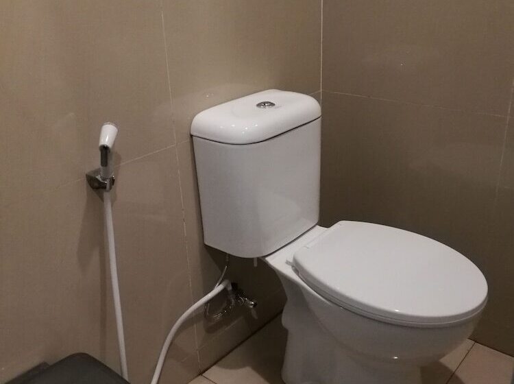 Sleepy Raccoon Hostel