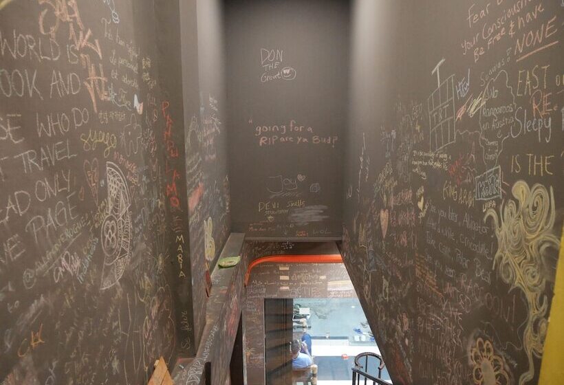 Sleepy Raccoon Hostel