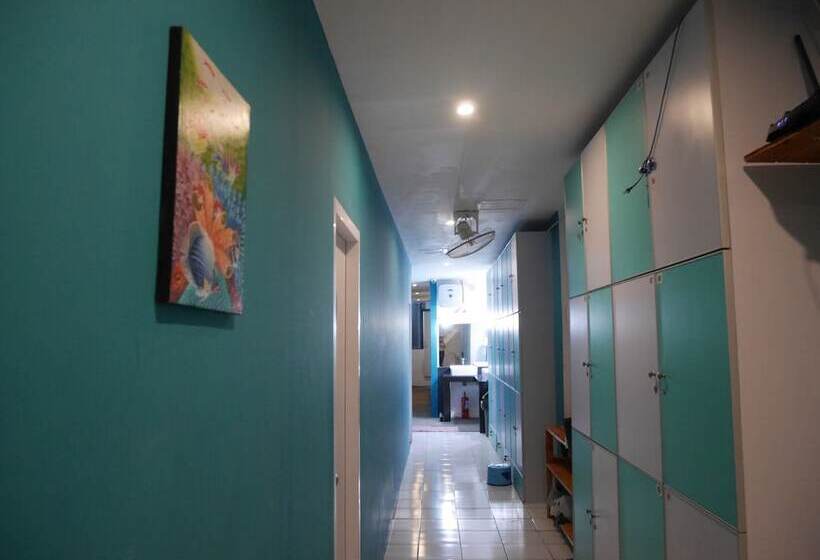 Sleepy Raccoon Hostel