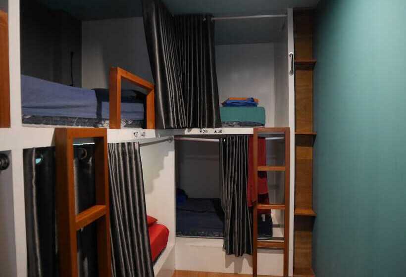 Sleepy Raccoon Hostel